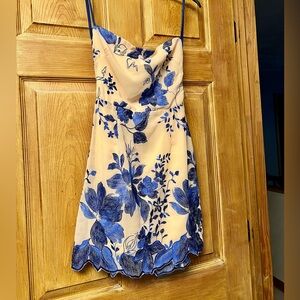 Lucy in the Sky Blue Floral Mini Dress